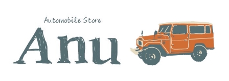 Automobile store Anu